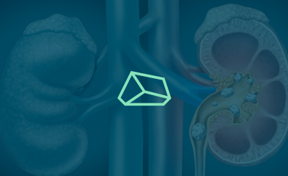 Servicios Dr. Christopher Kauffman